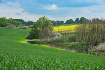 Landscape , Krajobrazy 2020