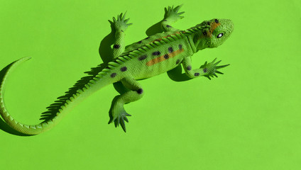 Iguana on a green background. Toys for kids. Play with children. Copy space. Horizontal format.