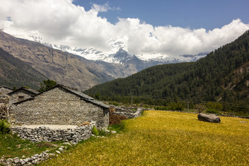 Green fields with a view of the Himalayan peak of Nilgiri North in the village of Kalopani on the Annapurna Circuit in Nepal.