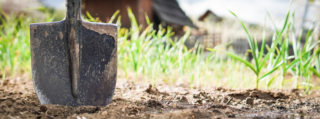 Banner - Detail of the spade -  working tool on the blurred background. Topic of the prepare garden at the cottage for the summer and hope to have a rich harvest. © Nataly