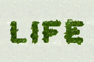 LIFE lettering made from green leaves. Ecological concept.