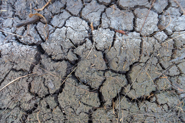 Soil cracks in arid areas in summer.