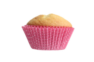 isolated cupcake in pink spotted paper cup