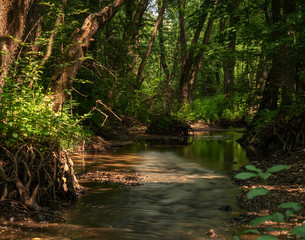 Russia, Moscow region, forest stream. Long exposure.