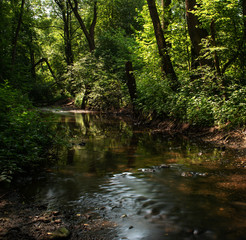 Fototapeta na wymiar Russia, Moscow region, forest stream. Long exposure.
