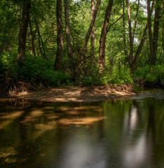 Fototapeta premium Russia, Moscow region, forest stream. Long exposure.
