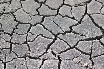 Texture of dried soil with cracks. Drought.