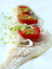Filet de poisson cru, tomates et citron vert-9046