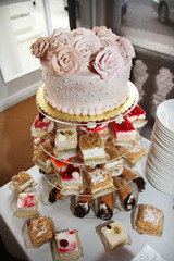 Wedding Cake and Cupcakes