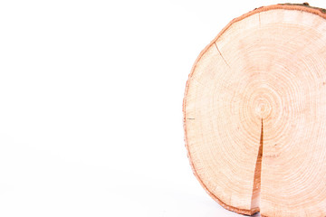 Slice of fresh oak wood on a white background	
