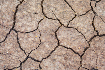 Soil cracks in arid areas in summer.