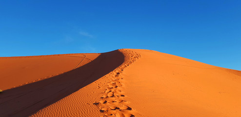 Fototapeta na wymiar huellas en el desierto