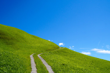 Weg durch satte grüne Bergwiese unter strahlend blauer Himmel