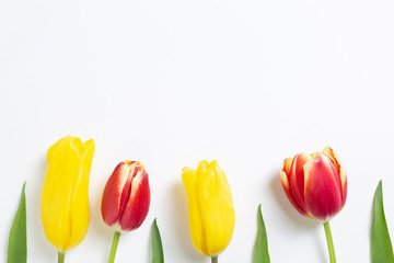 Spring yellow and red tulip flowers on white background. Floral composition, flat lay, top view, copy space