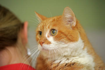 elderly redhead with a white cat in her arms in a shelter