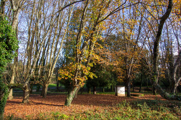 Naklejka premium Parque do Rio Ul em São João da Madeira, Portugal