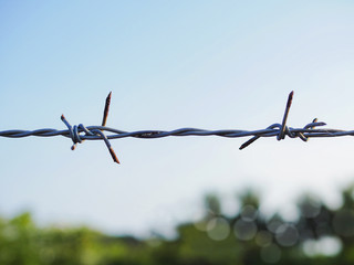 Barbed wire for enclosed areas.The rust on Barbed Wire.