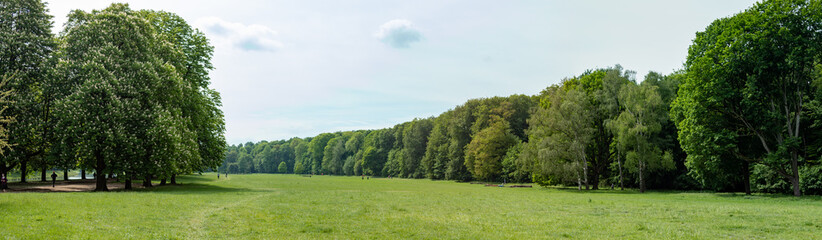 panorama of a park, trees behind a green meadow