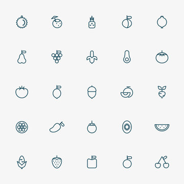 25 fruit minimal line icons