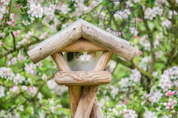 Wohnungsnot macht Erfinderisch