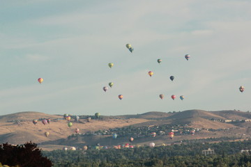 Hot Air Balloon Races in Valley