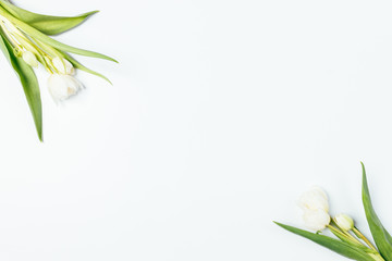 Flat lay arrangement of beautiful tulips flowers on white background