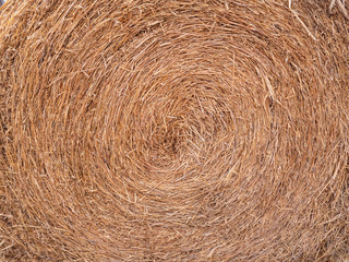 Bale of straw texture background