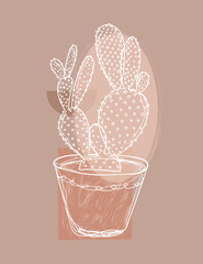Cactus line drawing, house plant decor.
