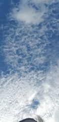 sky, cloud, blue, clouds, white, nature, day, weather, cloudy, air, cloudscape, summer, heaven, sun, light, atmosphere, beautiful, clear, texture, fluffy, outdoors, abstract, skies, bright, color
