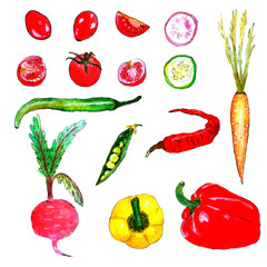 Set of vegetables watercolor, pepper, repa, peas, tomatoes, carrots, cucumber slice