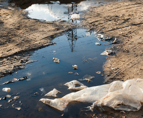 Garbage in the mud on the dirt road.
