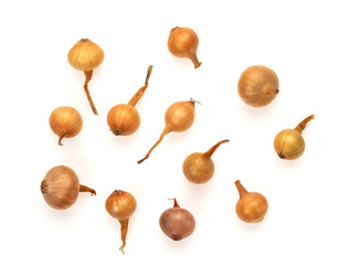 fresh yellow onions on white background