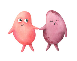 The kidneys. Healthy and diseased organs.. Watercolor illustration in children's style. Characters isolated on a white background. Pink. Cartoon anatomy.Stock illustration.