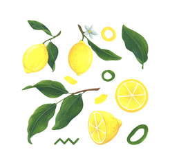 Lemons, whole and in section. Fruits, leaves and abstract elements in gouache.A set of stock images on a white background. Collection of drawings for decoration and summer design.