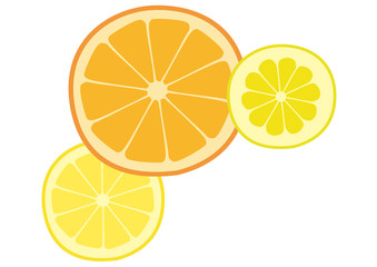 トロピカルフルーツ　みかん　オレンジ　グレープフルーツ　レモン