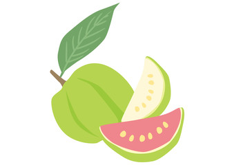 トロピカルフルーツ　グァバ