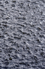 water drop on the pond surface
