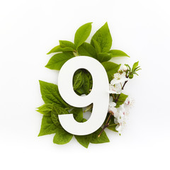 Number nine with green leaves. Minimal summer concept. Flat lay.