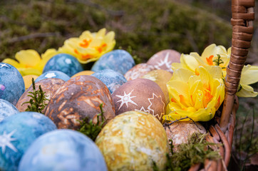 Easter painted eggs with stars and daffodils