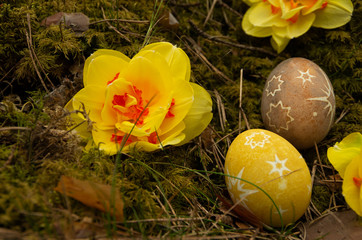 Easter painted eggs with stars and daffodils