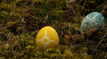 Easter painted blue egg with star on moss