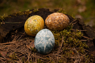 Easter painted brown, yellow, blue eggs on moss with star