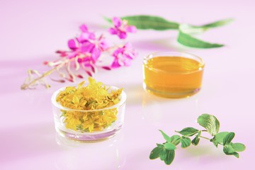Beautiful composition of fresh herbs and flowers and honey on pink background