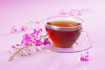 Cup with willow-herb tea and fresh flowers on pink background