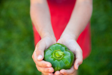 Kid's hands holding a green bell pepper