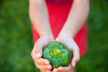 Kid's hands holding a green bell pepper