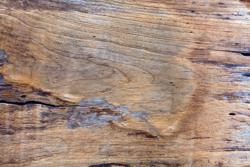 Old wood surface for background or texture