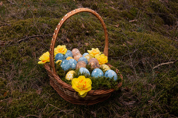 Easter painted eggs with stars and daffodils
