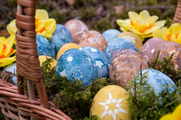 Easter painted eggs with stars and daffodils