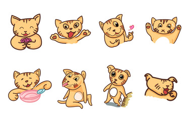 Cat in funny pose isolated on white background.